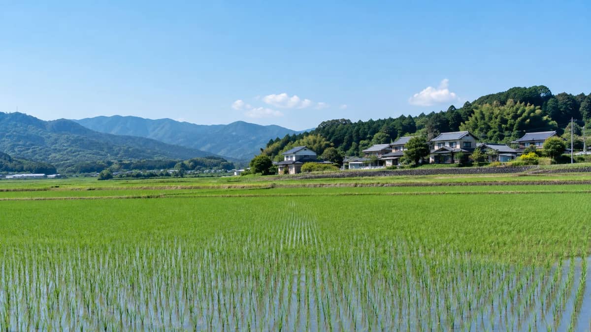 楽天やJALなど4者、北海道上士幌町で「ふるさと住民」開拓へ共同施策(イメージ画像)