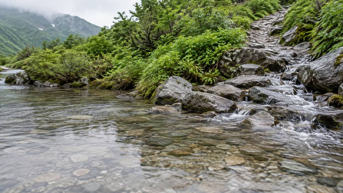 この夏の山岳遭難839人、水難535人 死者・行方不明は計278人 助からなかった割合は山6.2%、水辺42.2%(イメージ画像)