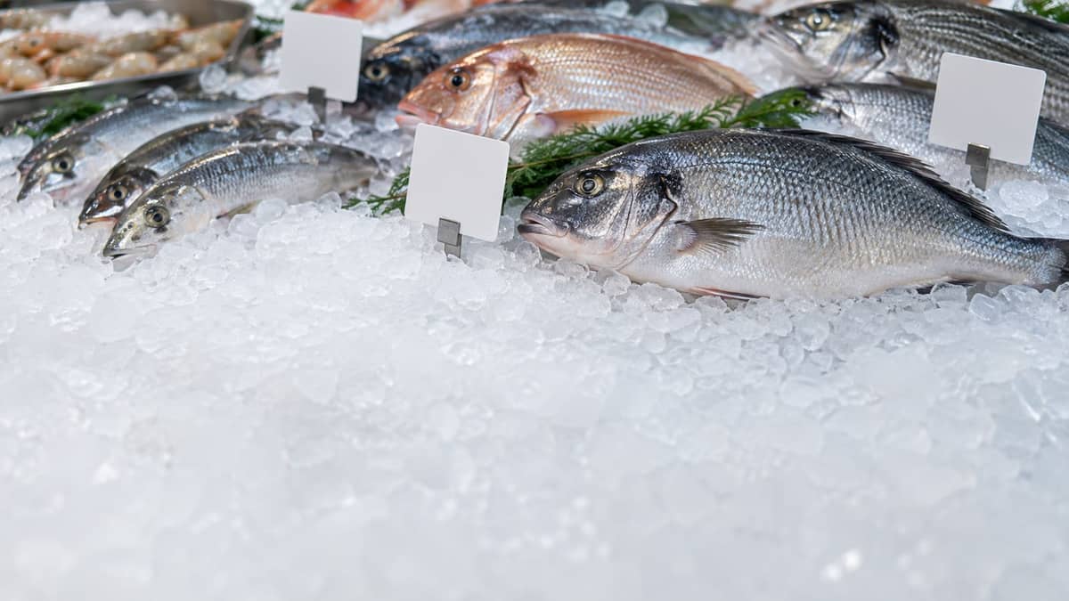 海水温上昇で獲れる魚が変わったこと、82.7%が「知っている」 資源管理された水産物は「1割高から2割高まで」が59.5% 内閣府の水産業世論調査(イメージ画像)